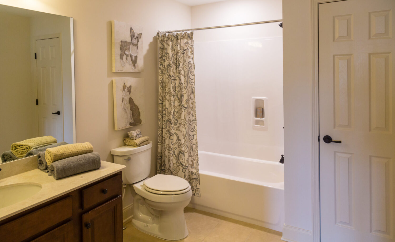 Bathroom Plumbing Services in SF