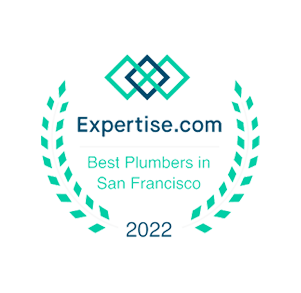 Expertise.com Badge
