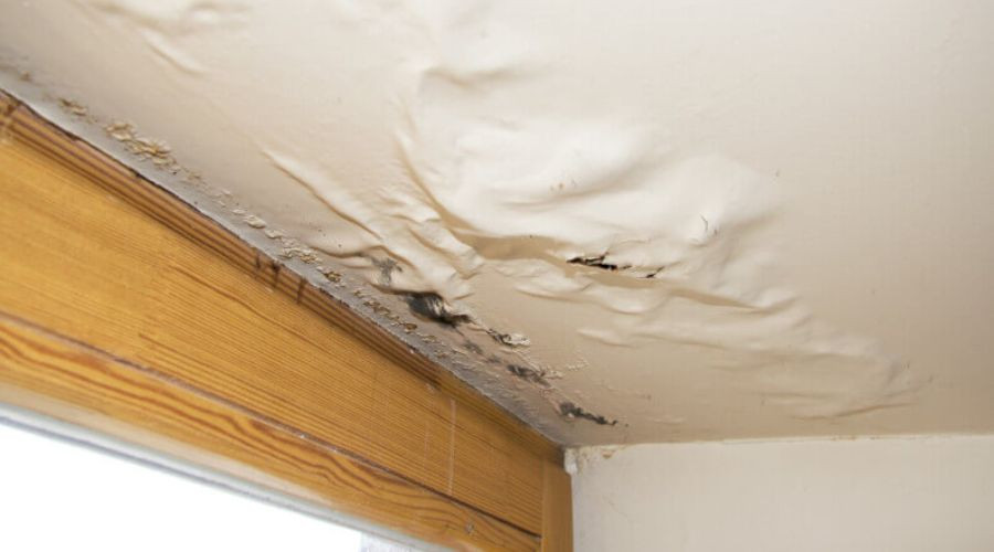 Ceiling water damage near window frame.